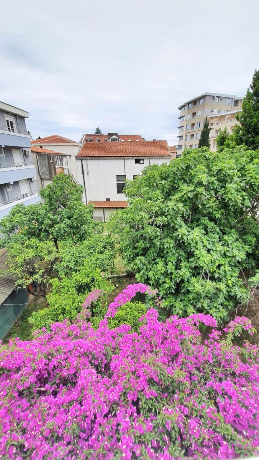 Vojinovic Apartments Budva Habitación foto